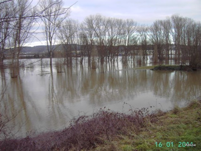 PICT5382.JPG