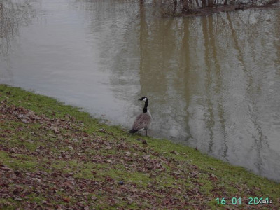 PICT5383.JPG