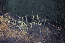 035c_Schnitt-Laing-4.jpg