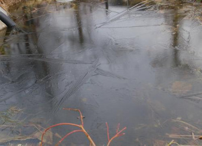 Teicheis_0011__3188.jpg