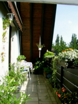 13_06_2003_Platz_in_der_Sonne.jpg