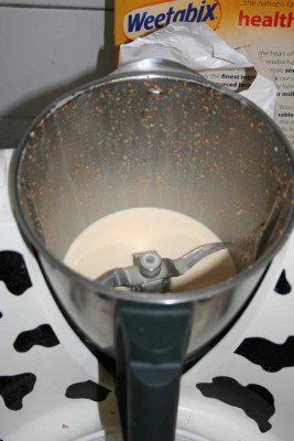 Mandarinenmilch.jpg
