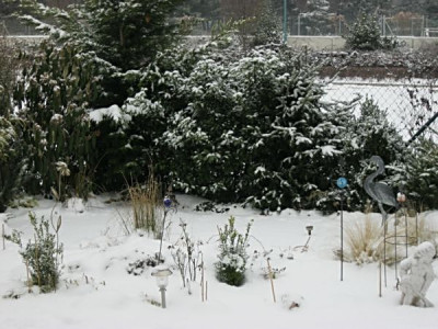 24.01.2011_002.JPG