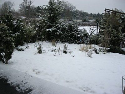 24.01.2011_001.JPG