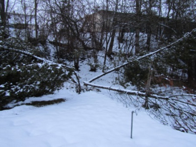 Kopie_von_IMG_0031.jpg