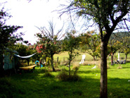 P1010003_Kopie.jpg