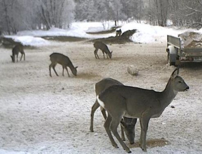 6rehe.JPG