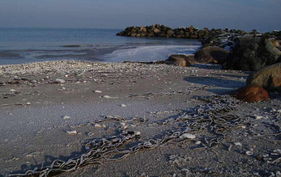 ostsee_201101_zg5.jpg
