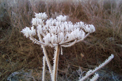 ostsee_201101_zg15.jpg