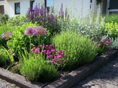 Schwiegermutterbeet_6.JPG