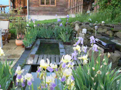 gartenfex_0017.jpg