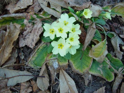 K640_K800_K1024_DSC00755.JPG