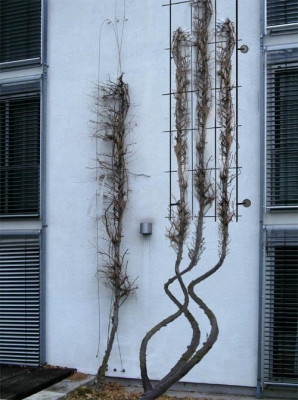 plaza-vergleich-kl.jpg