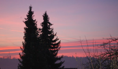 Morgenblick_0011__3331.jpg