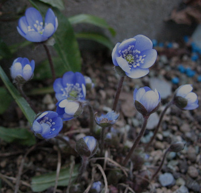 Aschau_8.2.11._012.jpg