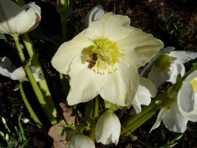 k-P1050496.JPG