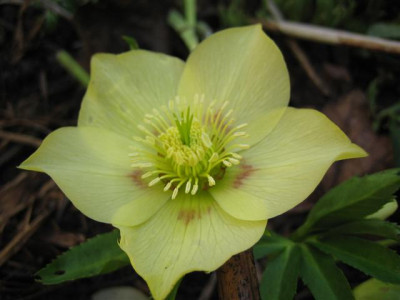 feb_2011_009_Small.jpg