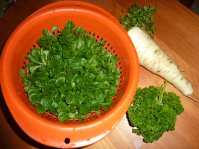 Ernte02.11.JPG