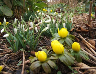 DSCF8778.JPG