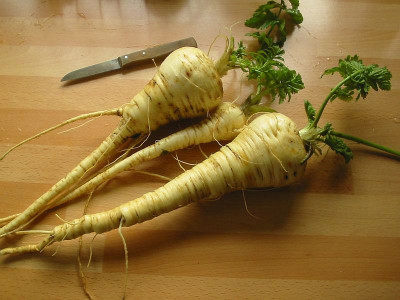 Ernte_12.02.11.jpg