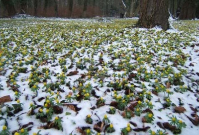 Ostrau_Uberblick_13-2-11.JPG