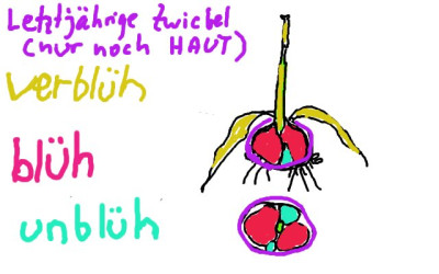 Gezwiebel_.jpg