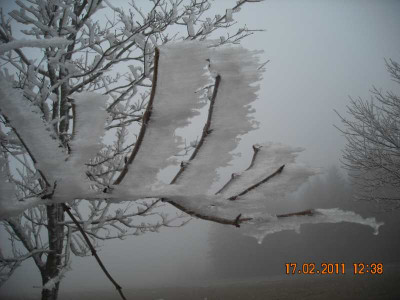 DSCN3879.jpg
