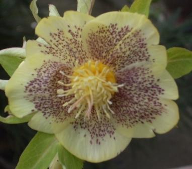 201103.JPG