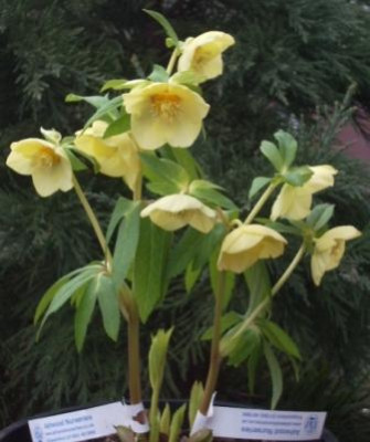 201104.JPG