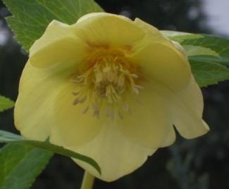 201105.JPG