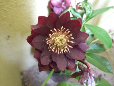 DSCF3628.jpg