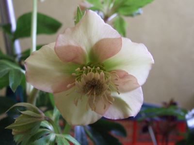 DSCF3625.jpg