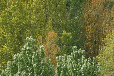 gruenpalette_11246.jpg