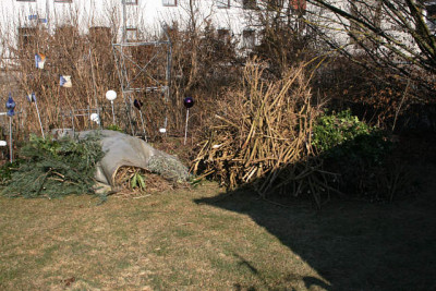 Vorher_0611.jpg
