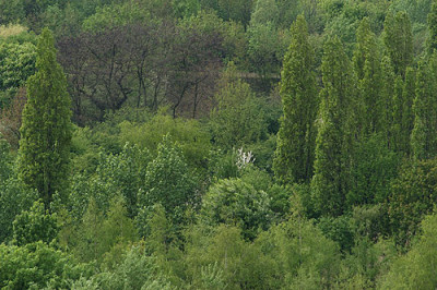 gruenpalette_11248.jpg