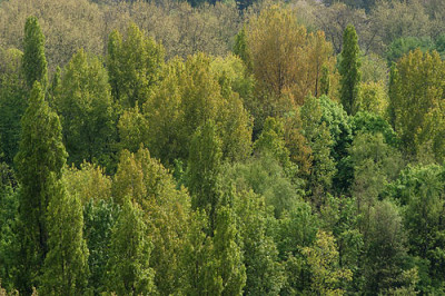 gruenpalette_11250.jpg