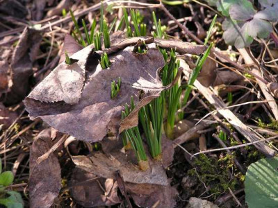 110225_08a.jpg