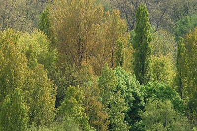 gruenpalette2_11250.jpg