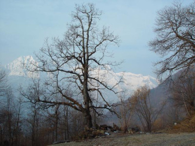 K640_DSC00993.JPG