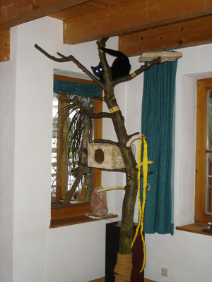 kratzbaum1.jpg