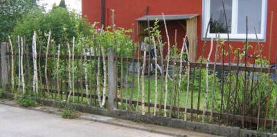 zaunbio.jpg