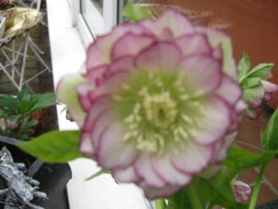 GARTEN_008.jpg