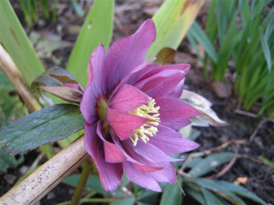 MARZ2011_006_Small.jpg