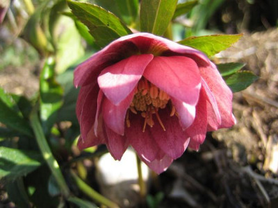 MARZ2011_012_Small.jpg