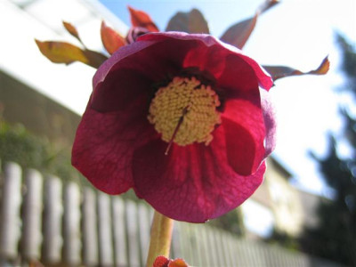 MARZ2011_019_Small.jpg
