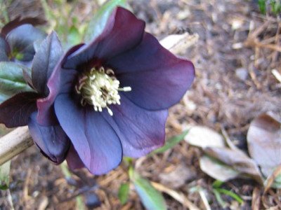 MARZ2011_005_Small.jpg