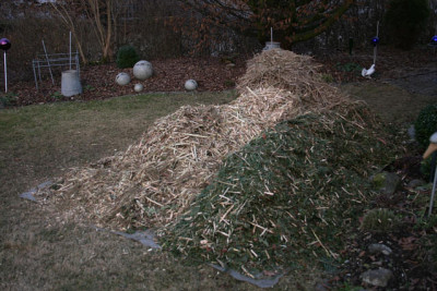 Nachher0711.jpg