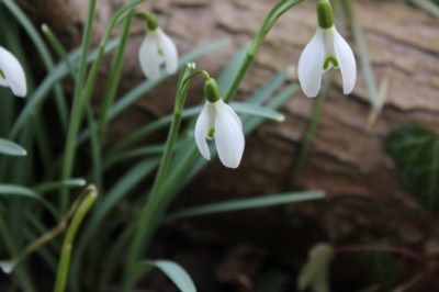 2011_03_05_0987_1.jpg