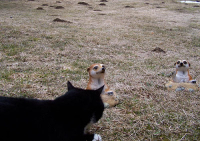 100_8250.JPG