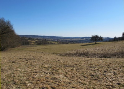 Vogelsberggebiet_fars_2011.jpg